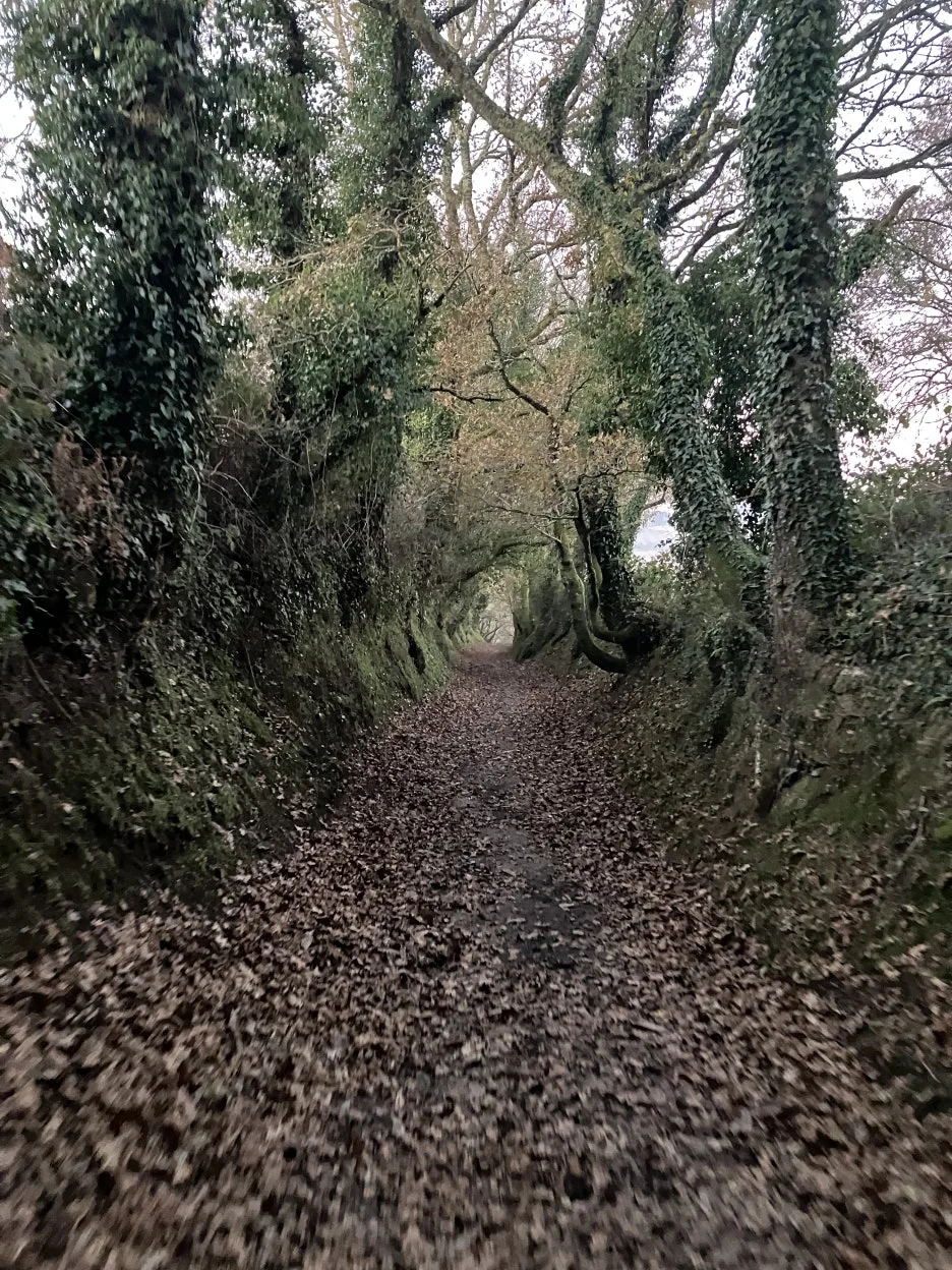 IMG_9114.jpg?type=w1