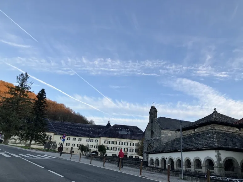 IMG_2031.jpg?type=w773