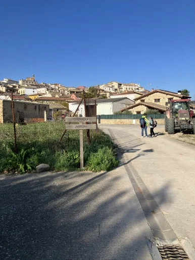 IMG_2452.jpg?type=w386