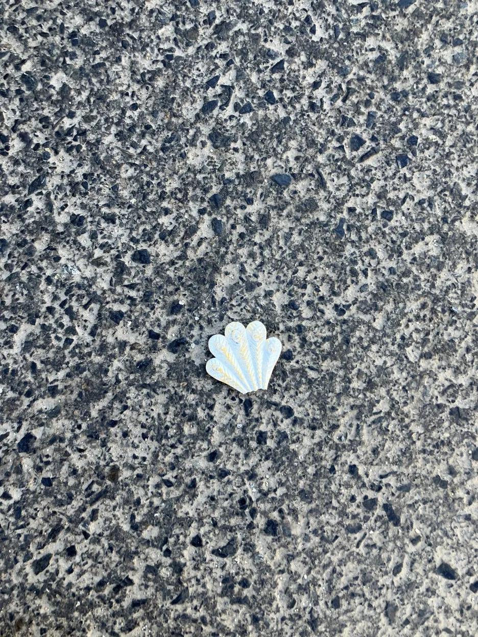 IMG_8975.jpg?type=w1