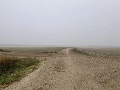 IMG_4685.jpg?type=w386