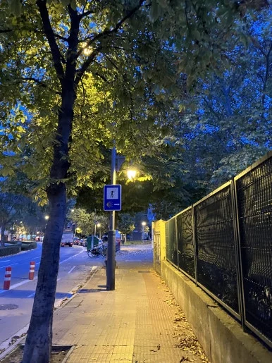 IMG_2959.jpg?type=w386