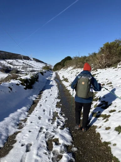 IMG_8056.jpg?type=w386