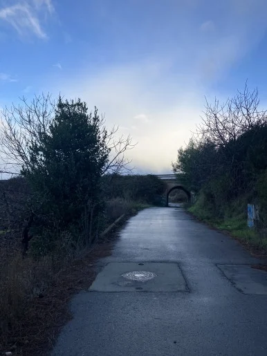 IMG_7362.jpg?type=w386