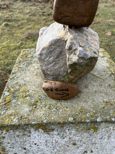 IMG_5275.jpg?type=w386