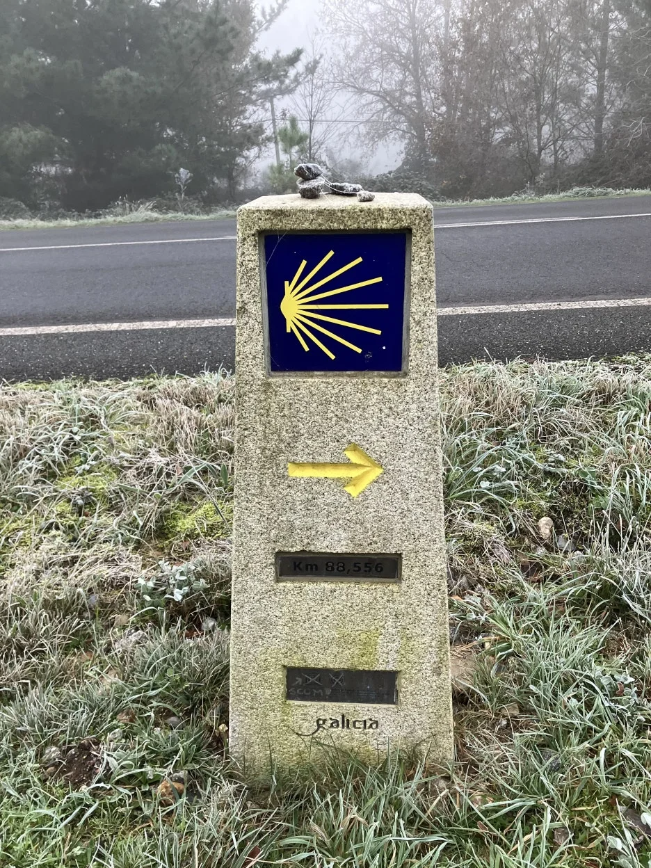 IMG_8804.jpg?type=w1