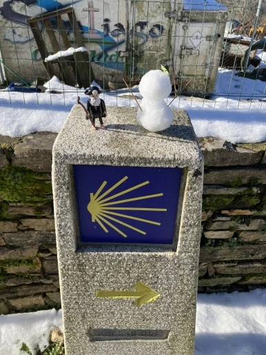 IMG_8043.jpg?type=w386