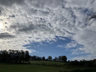 IMG_8340.jpg?type=w386