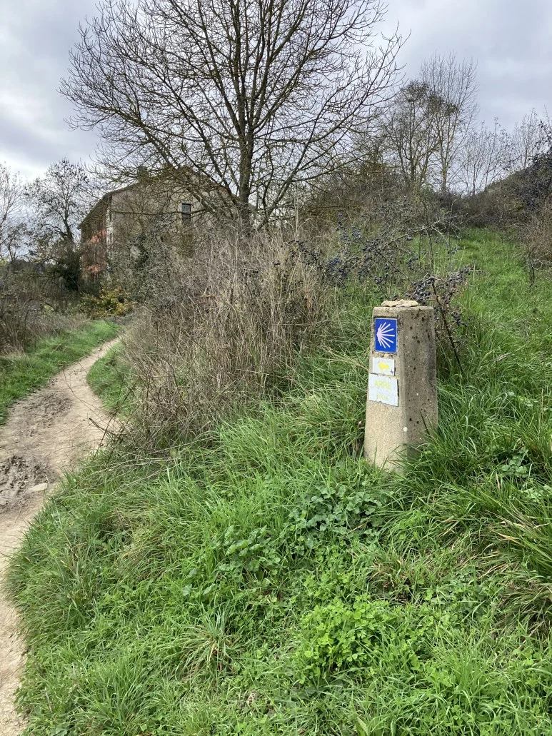 IMG_2176.jpg?type=w773