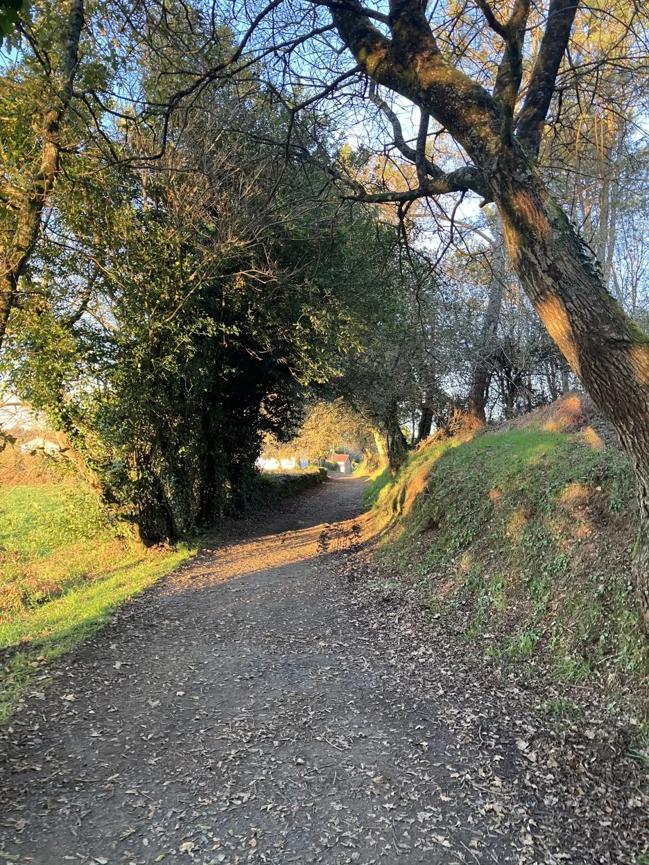 IMG_9539.jpg?type=w1