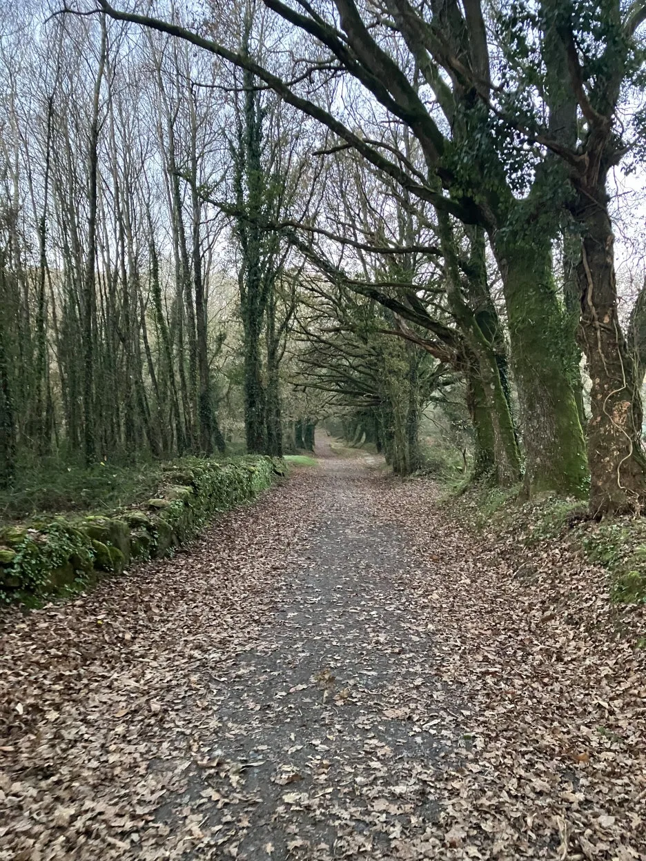 IMG_9121.jpg?type=w1