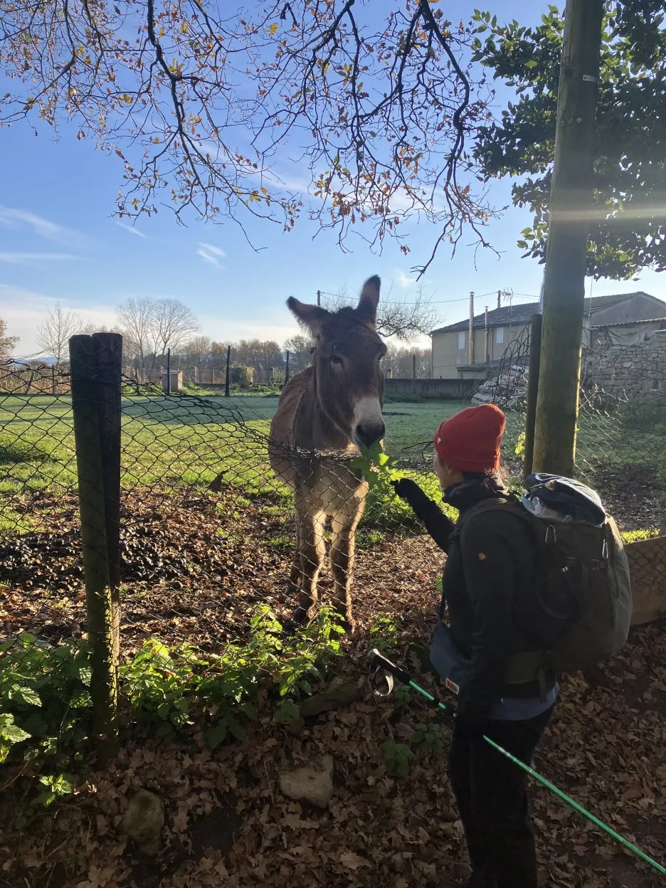 IMG_8499_2.jpg?type=w1