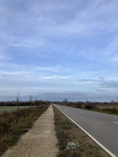 IMG_4934.jpg?type=w386