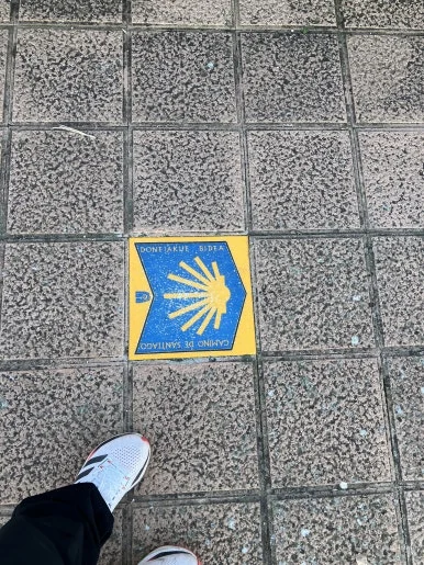 IMG_2517.jpg?type=w386