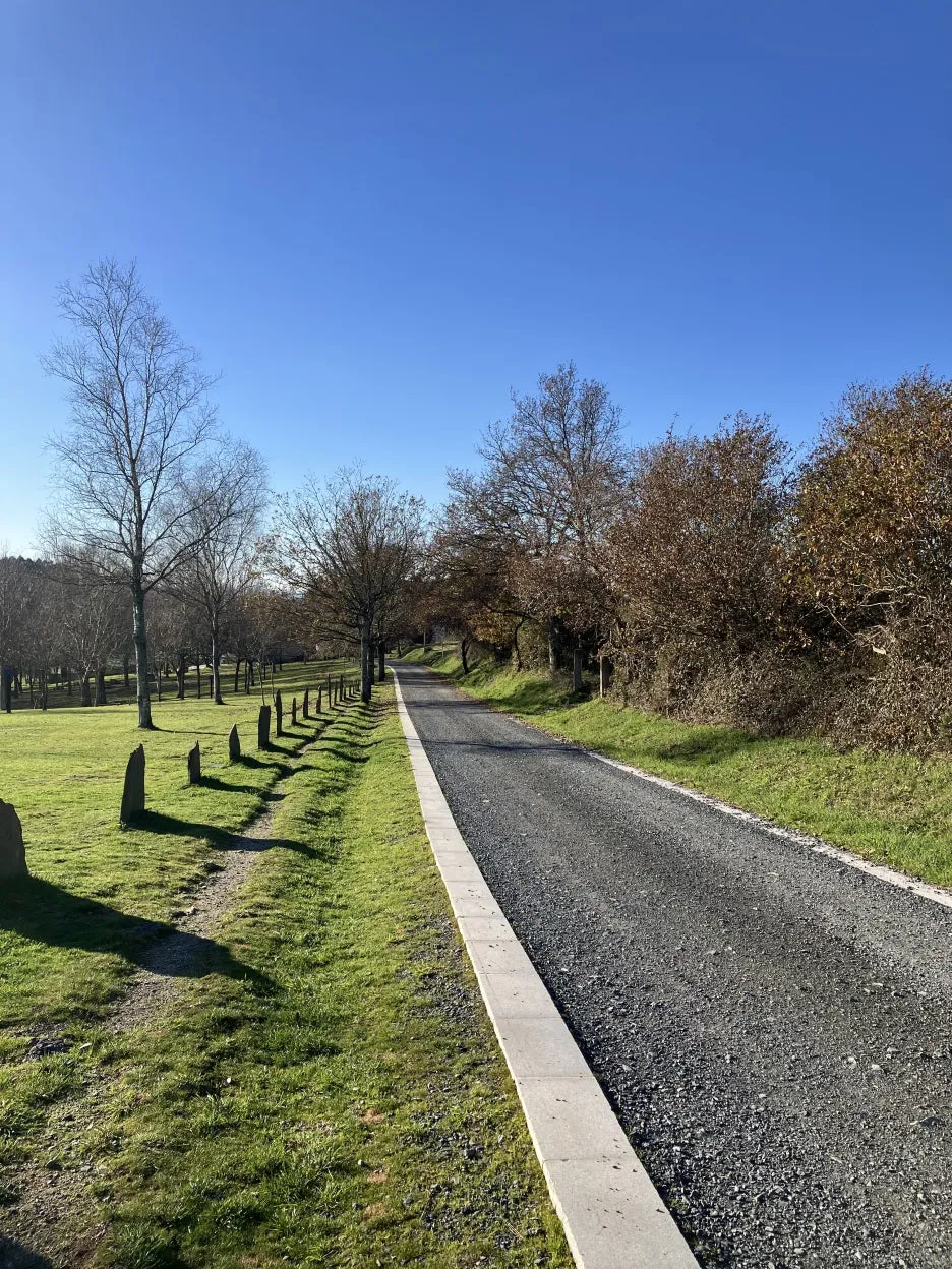 IMG_9026.jpg?type=w1