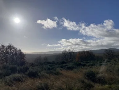 IMG_6782_2.jpg?type=w386