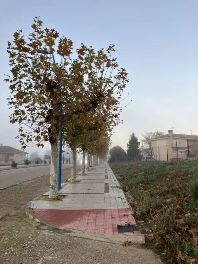 IMG_4775.jpg?type=w386