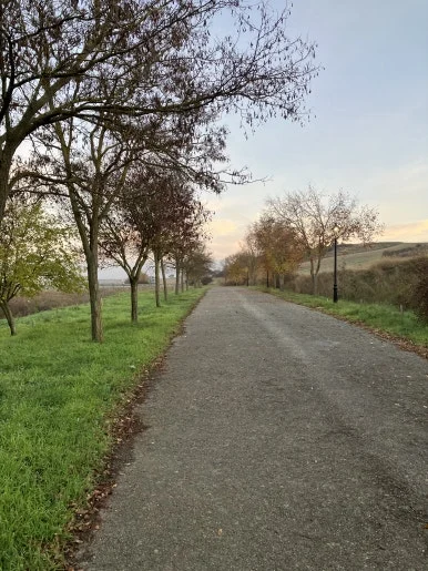 IMG_5033_2.jpg?type=w386