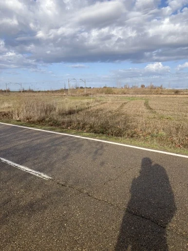 IMG_5397.jpg?type=w386