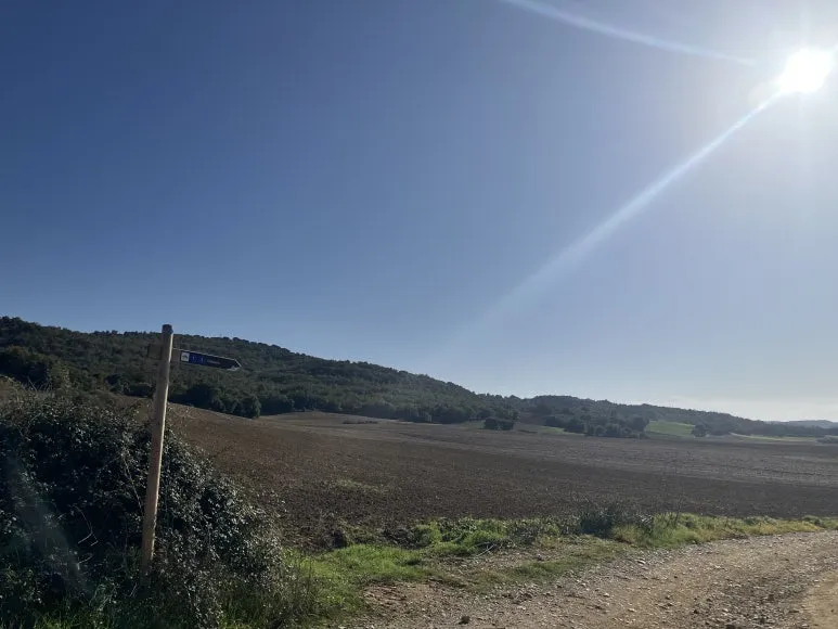 IMG_2497.jpg?type=w773