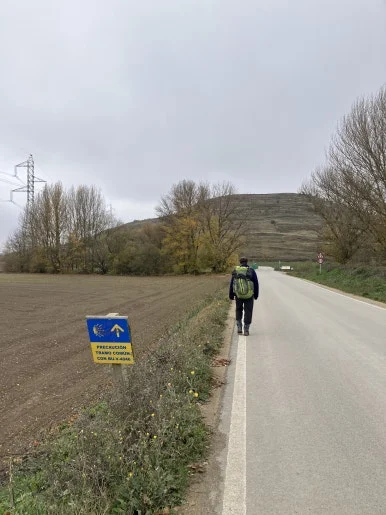 IMG_4478_2.jpg?type=w386