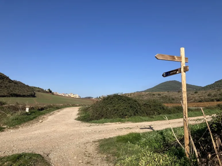 IMG_2450.jpg?type=w773