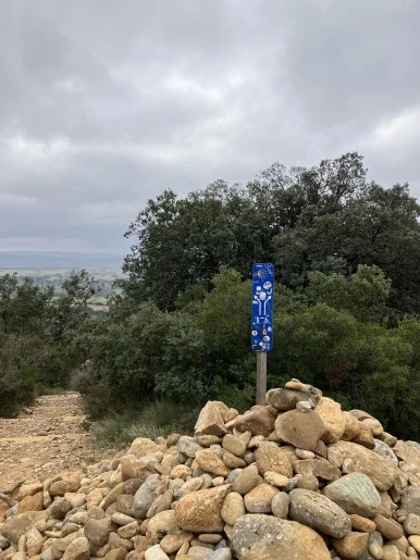 IMG_2366.jpg?type=w386