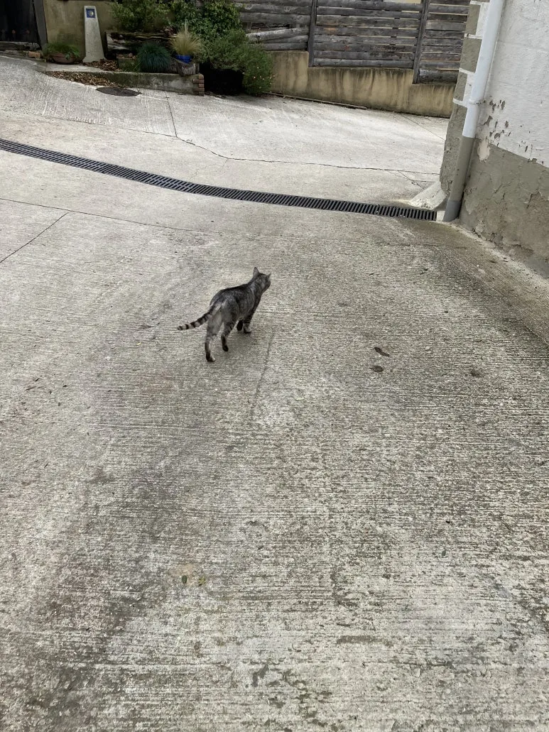 IMG_2173.jpg?type=w773