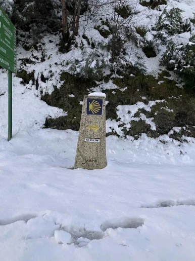 IMG_7918.jpg?type=w386