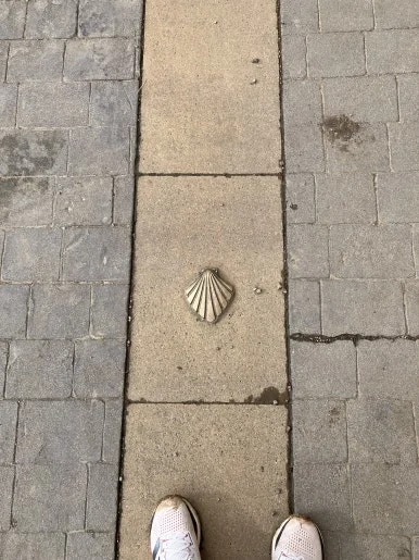 IMG_3370.jpg?type=w386