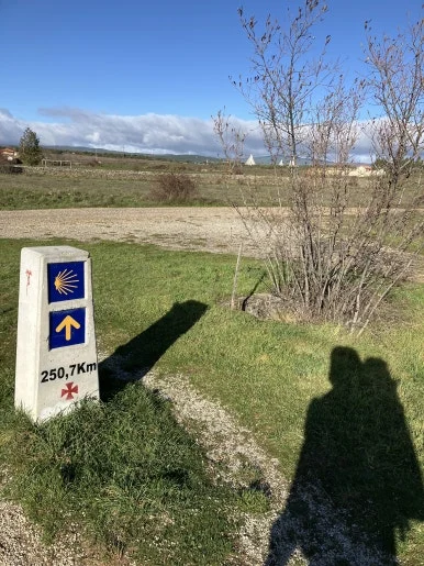 IMG_6682_2.jpg?type=w386