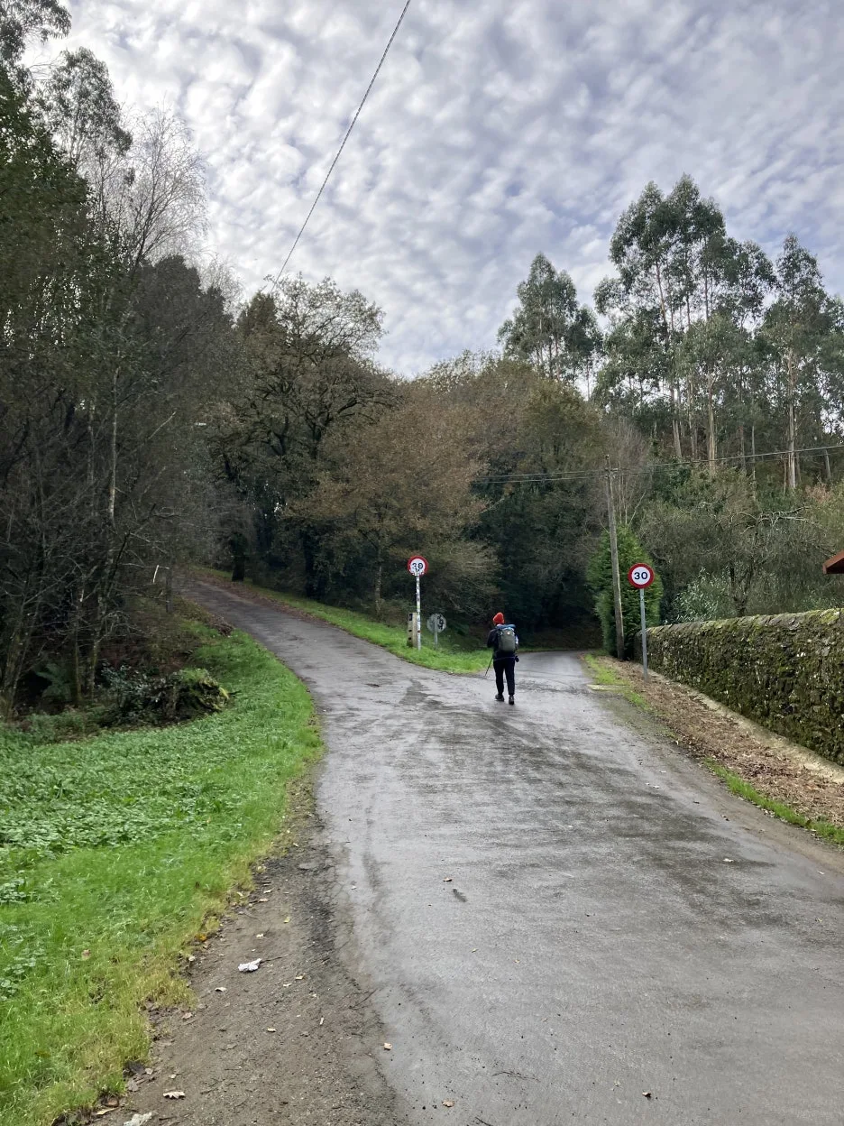 IMG_9716.jpg?type=w1