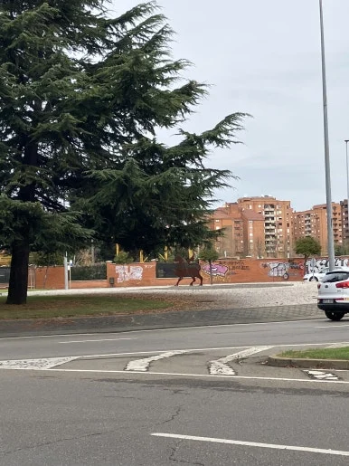 IMG_5660.jpg?type=w386