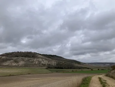 IMG_4534_2.jpg?type=w386