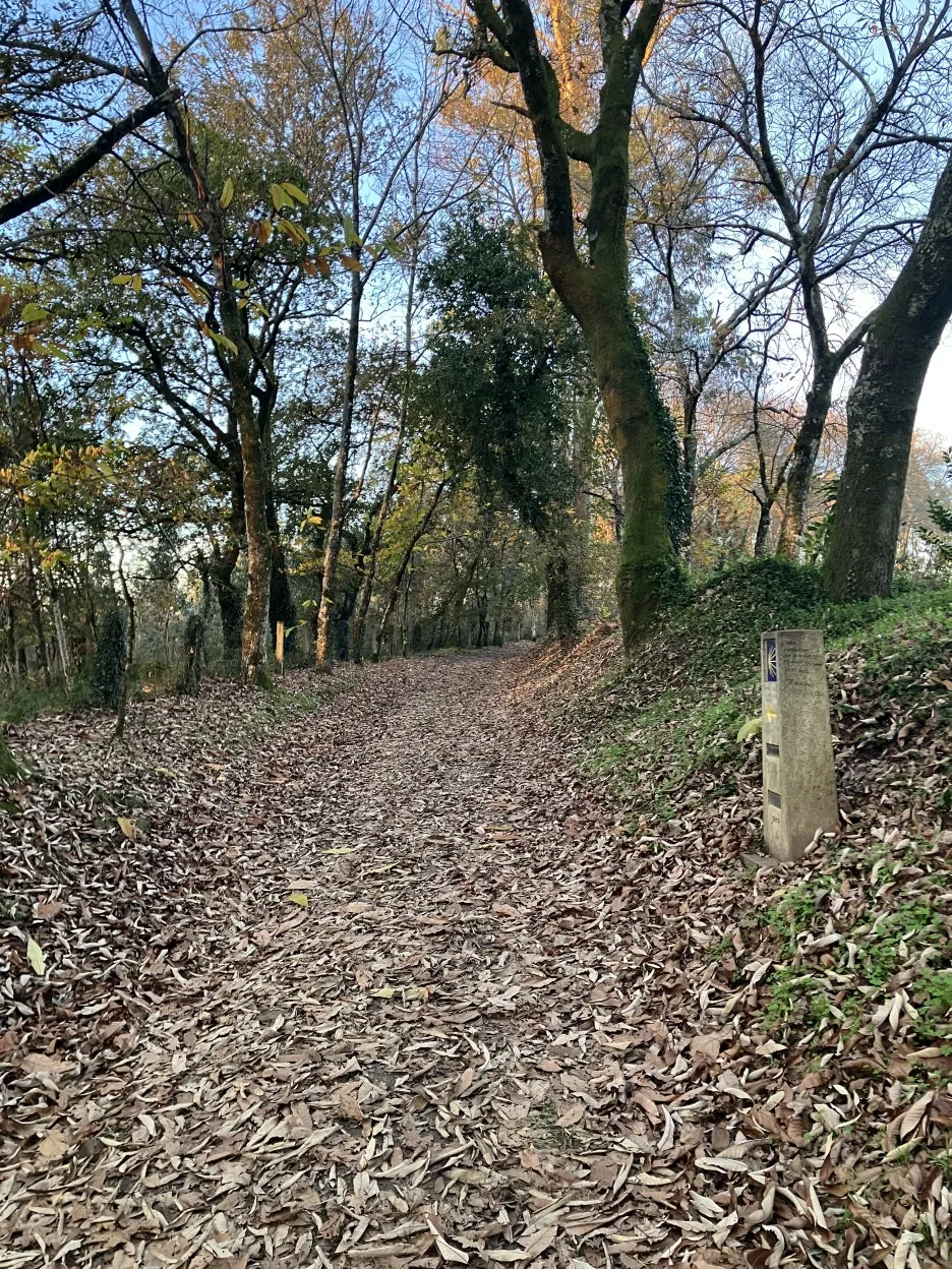 IMG_9532.jpg?type=w1