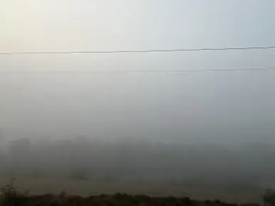 IMG_4594.jpg?type=w386