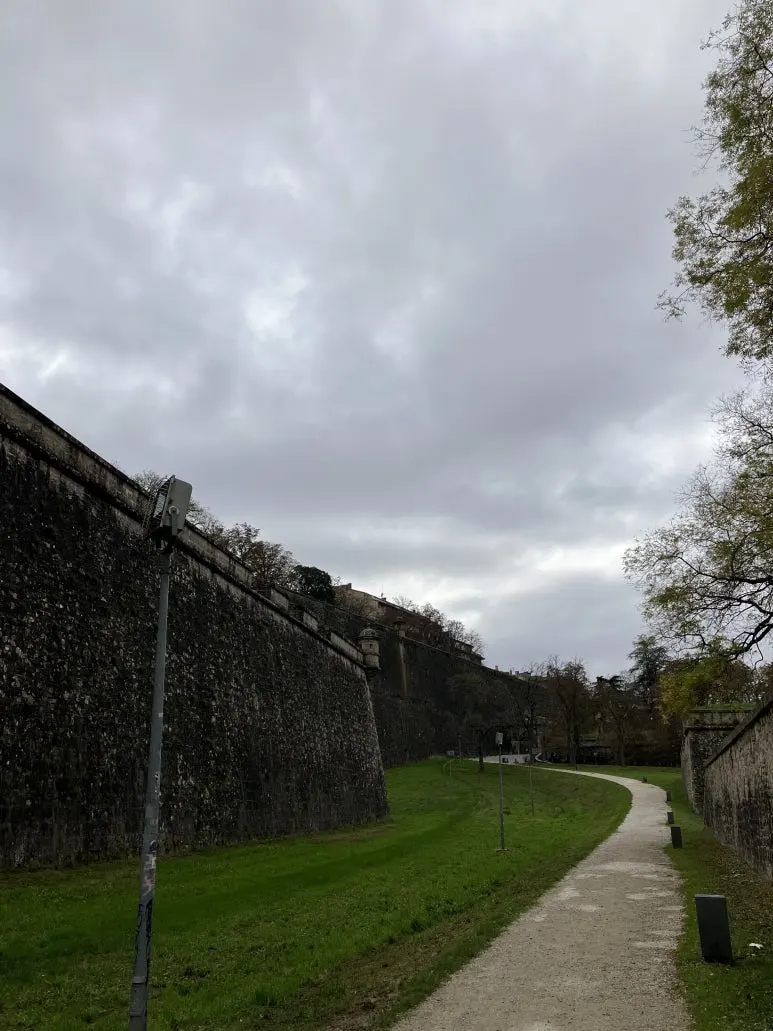 IMG_2226.jpg?type=w773