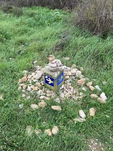 IMG_2364.jpg?type=w386