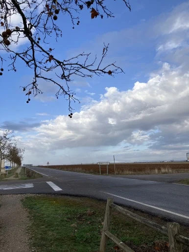 IMG_5388.jpg?type=w386