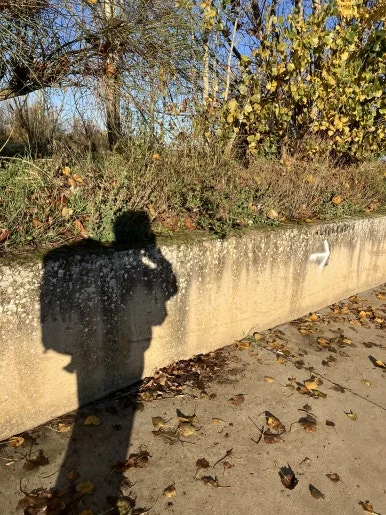 IMG_4819.jpg?type=w386