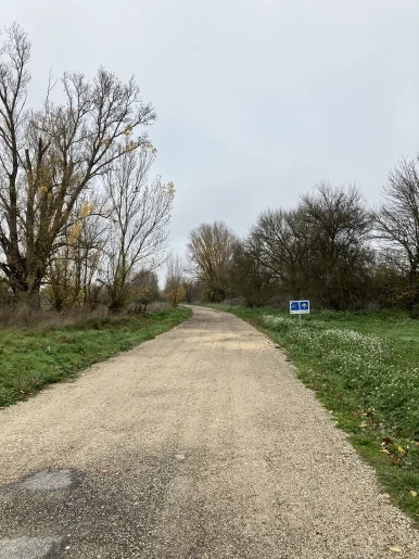 IMG_4409_2.jpg?type=w386