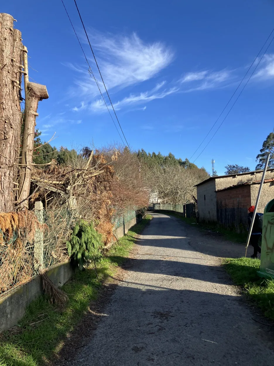 IMG_9585.jpg?type=w1