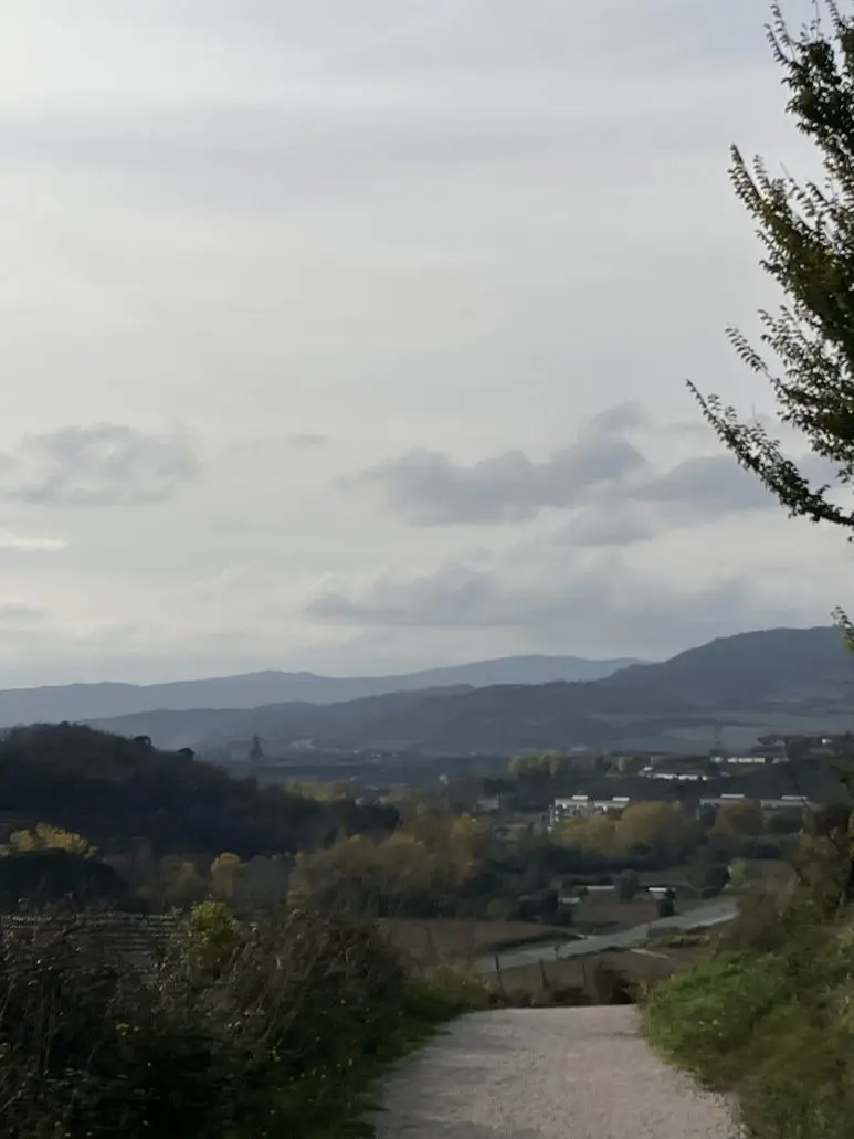 IMG_2407.jpg?type=w773