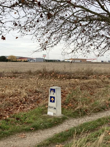 IMG_5316.jpg?type=w386