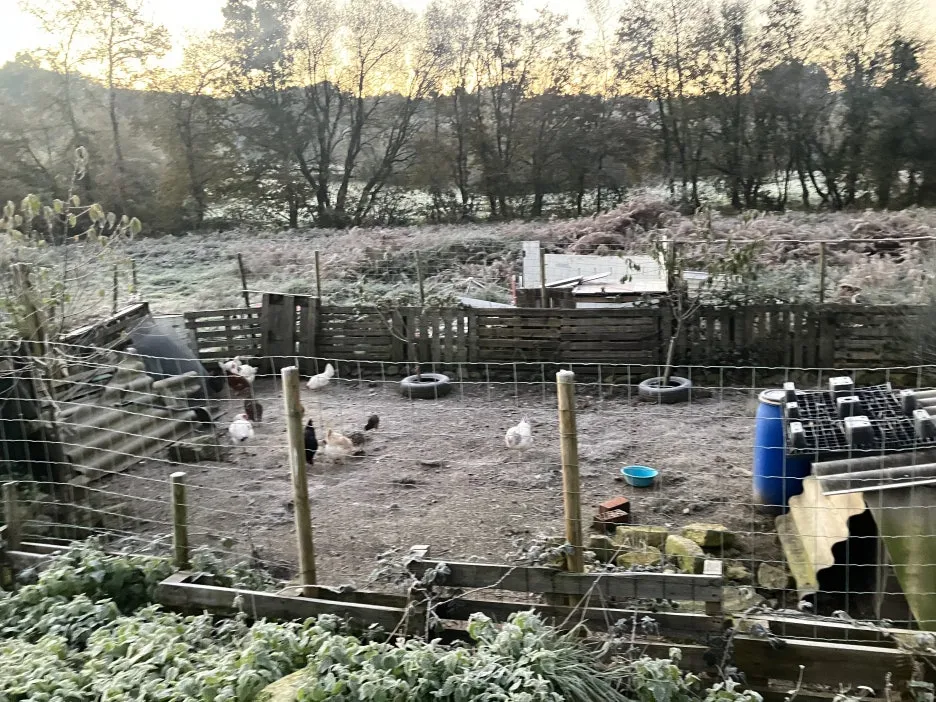 IMG_9109.jpg?type=w1