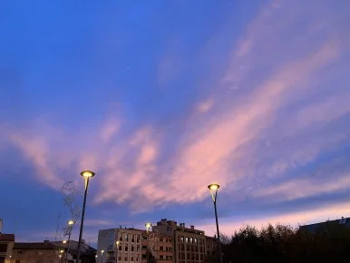 IMG_3113.jpg?type=w386