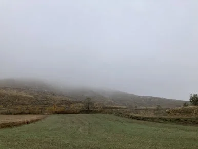 IMG_4669.jpg?type=w386