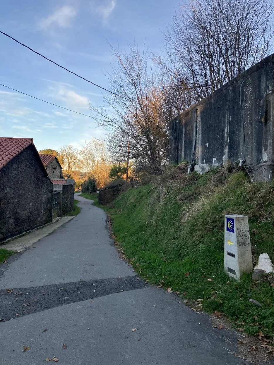 IMG_9540.jpg?type=w1