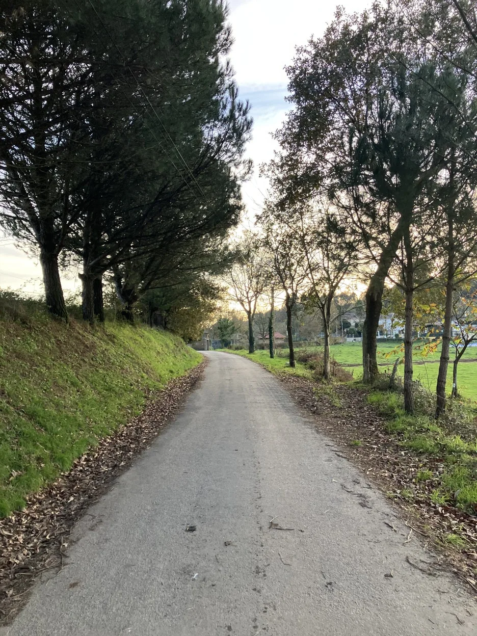 IMG_9420.jpg?type=w1