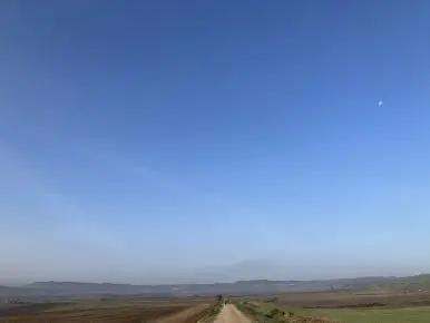 IMG_2749.jpg?type=w386